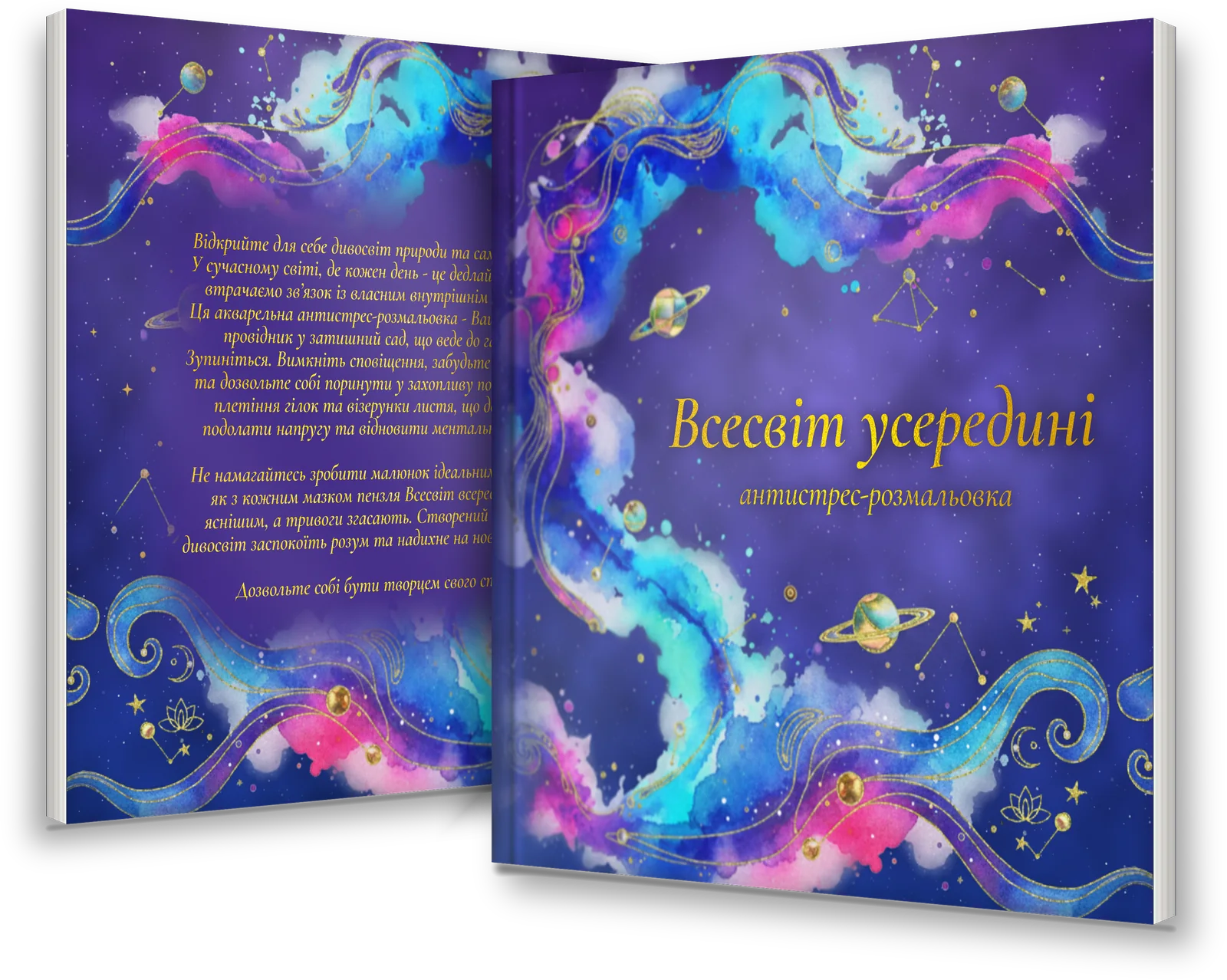 Книга «Всесвіт усередині»: обкладинка і зворот